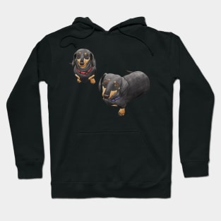 Dachshund Love - Black Version Hoodie